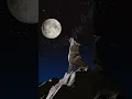 Lagu Wolf howling at the moon #shorts