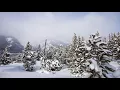 Danit - Naturaleza (Mose Edit) music video