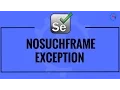 Selenium NoSuchFrameException