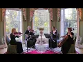 Billie Jean (Michael Jackson) Wedding String Quartet