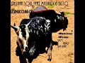 Izinkomo (feat. Mashadi, Bisto) (Ta Ice Ritual Mix)