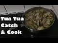 Download Lagu Tua Tua Catch and Cook
