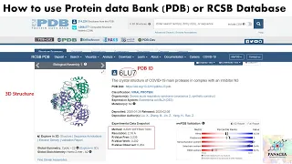 How to use Protein data Bank PDB RCSB Database Bioinformatics CADD SBDD