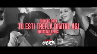 NICOLAE GUTA - TU ESTI TREFLA DINTRE ASI X HOODTRAP REMIX