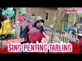 Download Lagu SING PENTING TARLING || WINDA DWI LESTARI || ANDI PUTRA ONE || SUDIMAMPIR KIDUL BLOK PILANG BALONGAN