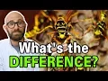 What is the Difference Between Bees Wasps and Hornets