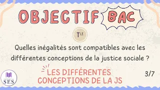 [BAC] Cours Justice Sociale - Les différentes conceptions de la Justice sociale