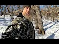 Back to the Primitive • SOULFLY
