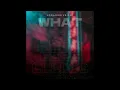 Download Lagu What The Heeeelll