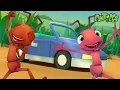Download Lagu Patroli Kecepatan! | ANTIKS Indonesia | Kartun Anak-anak | BARU 2023 | Petualangan Semut ANTIKS