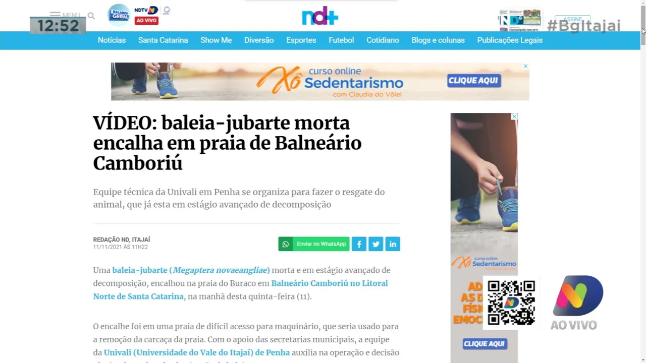 Baleia jubarte encalhou em Balneário Camboriú, Polícia investiga crime de racismo na região