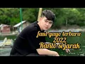 Download Lagu FAUL GAYO TERBARU 2022 official music lirik RANTO SI JARAK
