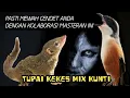 Download Lagu MASTERAN TUPAI KEKES MIX KUNTI //AKAN MEMBUAT CENDET LEBIH MEWAH DIGANTANGAN