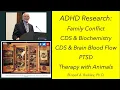 Lagu ADHD Research: Family Conflict, CDS \u0026 Biochemistry, CDS \u0026 Brain Blood Flow, PTSD, Therapy \u0026 Animals