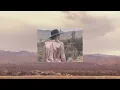 Miranda Lambert - Waxahachie (Palomino Official Audio)