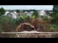 Download Lagu Stars and Rabbit - Cry little heart|official|Indie|Filosofi pagi