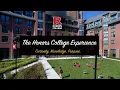 The Honors College Experience