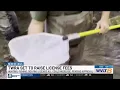 TWRA Set to Raise License Fees