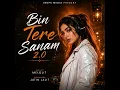 Bin Tere Sanam 2.0