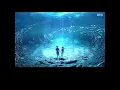 George Lam & Sally Yeh: 選擇 (國) 【English translated + pinyin】