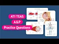 ATI TEAS 7 Science ATI TEAS Anatomy and Physiology Practice Questions