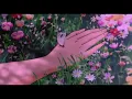 The Avalanches - Harmony (slowed+reverb)