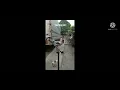 Download Lagu kumpulan suara ayam ketawa unik