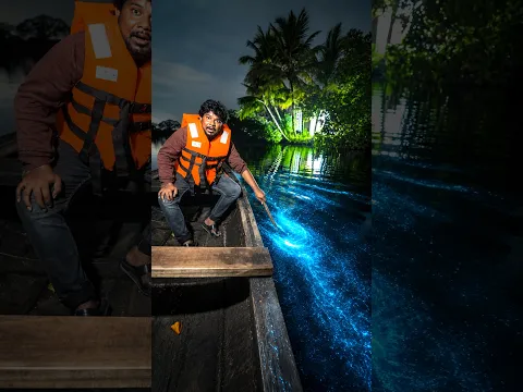💥🤯தண்ணில Light எரியுமா..⁉️💢 #shorts BIOLUMINESCENCE