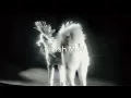 Fatdog - Shit Love (Lyrics Unofficial)