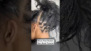DIY HUMAN HAIR MICRO TREE BRAIDS