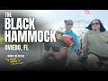 Black Hammock Airboats Gators Gator Bites on Lake Jesup Think About It x Orlando North