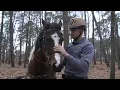 Ocean County mounted unit a benefit to Sheriff s Office
