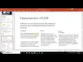 The UDP Protocol