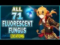 71 Fluorescent Fungus Locations - Efficient Farming Route