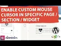 Enable Custom Mouse Cursor for Specific Page Section Column using Premium Addons Pro Elementor