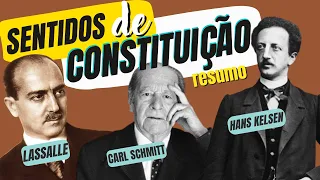 SENTIDOS DE CONSTITUIÇÃO | RESUMO (Direito Constitucional - Concurso Público)