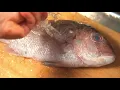 [ASMR] How to AGE Fish at Home | SUSHI | SASHIMI | Takoshiho Cooks Japan