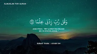 ثلثي ساعة تلاوة القرآن بصوت هادئ بصوت القارئ اسلام صبحي للدراسة والتركيز Islam Sobhi 