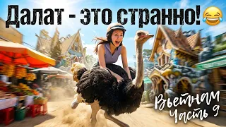 Далат - это странно! Сумасшедший дом и катание на страусах.
