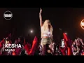Download Lagu Kesha | Boiler Room x White Claw: Miami