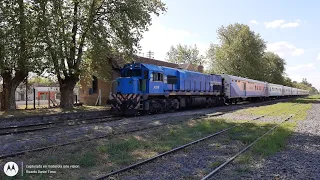                                                دندنها