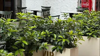 تعالووووووو