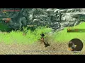 Found a weird collision - Age of Calamity