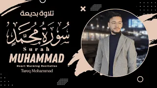 بأداء جديد رن  ان   سورة محمد  كاملة    إصدار جديد مبار ك   القارئ طارق محمد دندنها