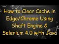 How to Clear Cache in Using Shaft Engine Selenium 4 0 with Java