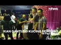 Download Lagu Ikan Gantung Kucing Bengong~ Four Kadun Ft. Yyphang Band