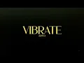 KR$NA Ft. BADSHAH - VIBRATE | PROD. PHENOM | OFFICIAL VISUALISER