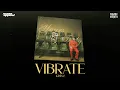 Download Lagu KR$NA Ft. BADSHAH - VIBRATE | PROD. PHENOM | OFFICIAL VISUALISER