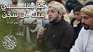 لحظات روحانية مع قصيدة كم بقلبي فيك من شجن    بصوت د  جهاد الكالوتي دندنها