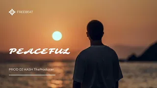 Free Afrobeat "Peaceful " instrumental for download 